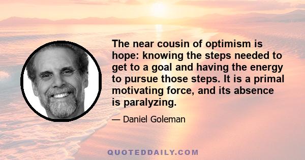 The near cousin of optimism is hope: knowing the steps needed to get to a goal and having the energy to pursue those steps. It is a primal motivating force, and its absence is paralyzing.