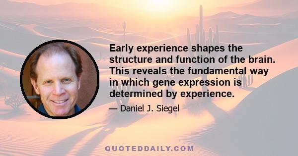 Early experience shapes the structure and function of the brain. This reveals the fundamental way in which gene expression is determined by experience.