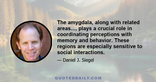 The amygdala, along with related areas..., plays a crucial role in coordinating perceptions with memory and behavior. These regions are especially sensitive to social interactions.