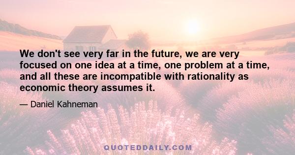 We don't see very far in the future, we are very focused on one idea at a time, one problem at a time, and all these are incompatible with rationality as economic theory assumes it.