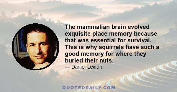 The mammalian brain evolved exquisite place memory because that was essential for survival. This is why squirrels have such a good memory for where they buried their nuts.