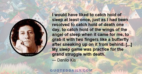 I would have liked to catch hold of sleep at least once, just as I had been resolved to catch hold of death one day, to catch hold of the wings of the angel of sleep when it came for me, to grab it with two fingers like 