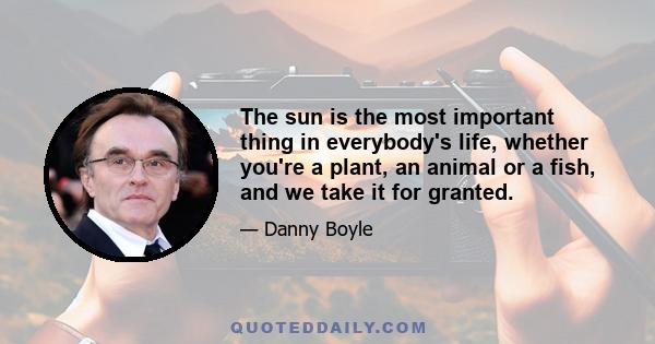 The sun is the most important thing in everybody's life, whether you're a plant, an animal or a fish, and we take it for granted.