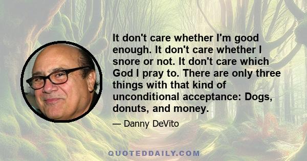 It don't care whether I'm good enough. It don't care whether I snore or not. It don't care which God I pray to. There are only three things with that kind of unconditional acceptance: Dogs, donuts, and money.