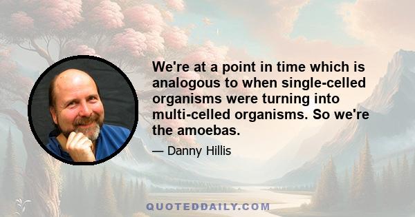 We're at a point in time which is analogous to when single-celled organisms were turning into multi-celled organisms. So we're the amoebas.