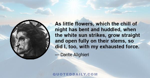 As little flowers, which the chill of night has bent and huddled, when the white sun strikes, grow straight and open fully on their stems, so did I, too, with my exhausted force.