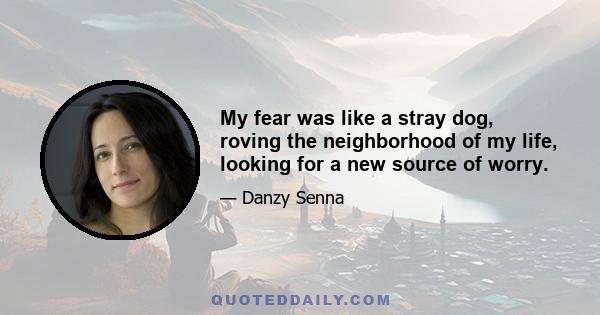 My fear was like a stray dog, roving the neighborhood of my life, looking for a new source of worry.