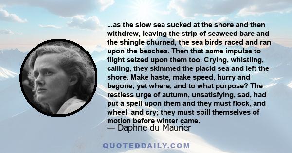 ...as the slow sea sucked at the shore and then withdrew, leaving the strip of seaweed bare and the shingle churned, the sea birds raced and ran upon the beaches. Then that same impulse to flight seized upon them too.