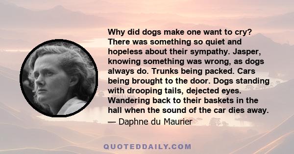 Why did dogs make one want to cry? There was something so quiet and hopeless about their sympathy. Jasper, knowing something was wrong, as dogs always do. Trunks being packed. Cars being brought to the door. Dogs