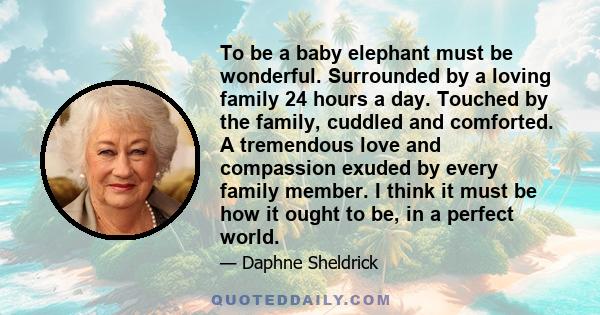 To be a baby elephant must be wonderful. Surrounded by a loving family 24 hours a day. Touched by the family, cuddled and comforted. A tremendous love and compassion exuded by every family member. I think it must be how 