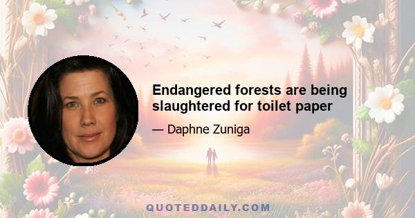 Endangered forests are being slaughtered for toilet paper