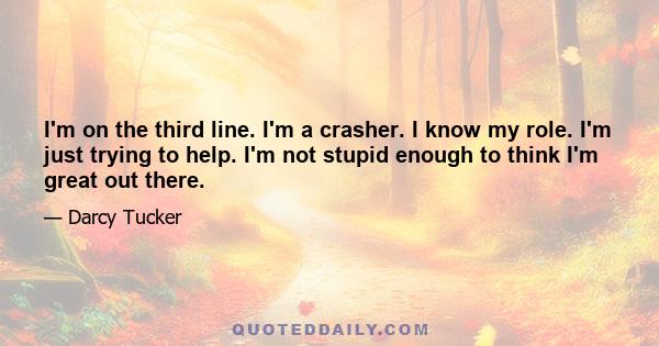 I'm on the third line. I'm a crasher. I know my role. I'm just trying to help. I'm not stupid enough to think I'm great out there.