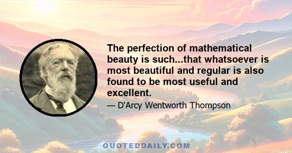 The perfection of mathematical beauty is such...that whatsoever is most beautiful and regular is also found to be most useful and excellent.