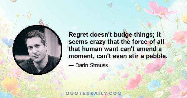 Regret doesn't budge things; it seems crazy that the force of all that human want can't amend a moment, can't even stir a pebble.