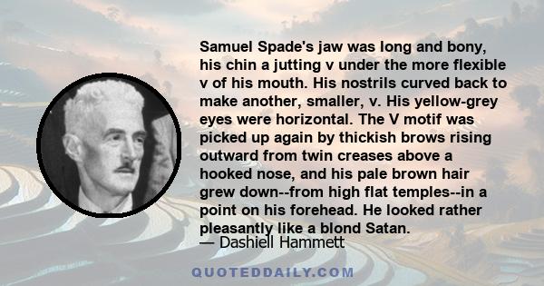 Samuel Spade's jaw was long and bony, his chin a jutting v under the more flexible v of his mouth. His nostrils curved back to make another, smaller, v. His yellow-grey eyes were horizontal. The V motif was picked up