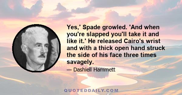 Yes,' Spade growled. 'And when you're slapped you'll take it and like it.' He released Cairo's wrist and with a thick open hand struck the side of his face three times savagely.