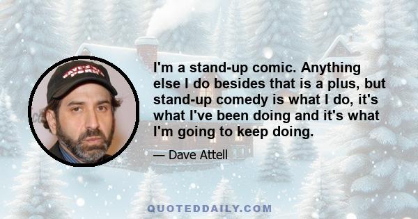 I'm a stand-up comic. Anything else I do besides that is a plus, but stand-up comedy is what I do, it's what I've been doing and it's what I'm going to keep doing.