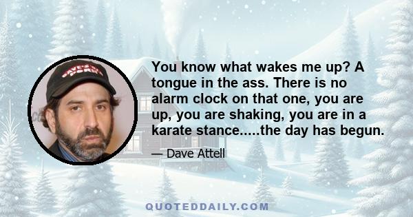 You know what wakes me up? A tongue in the ass. There is no alarm clock on that one, you are up, you are shaking, you are in a karate stance.....the day has begun.