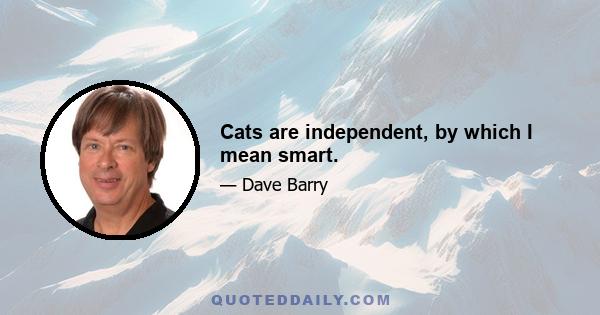 Cats are independent, by which I mean smart.