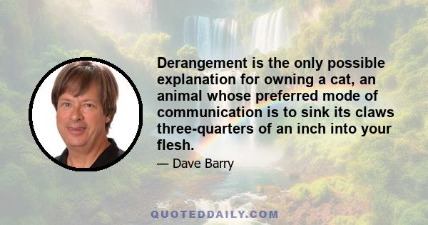 Derangement is the only possible explanation for owning a cat, an animal whose preferred mode of communication is to sink its claws three-quarters of an inch into your flesh.