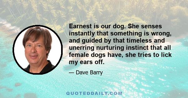 Earnest is our dog. She senses instantly that something is wrong, and guided by that timeless and unerring nurturing instinct that all female dogs have, she tries to lick my ears off.