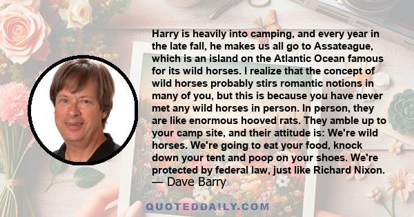 Harry is heavily into camping, and every year in the late fall, he makes us all go to Assateague, which is an island on the Atlantic Ocean famous for its wild horses. I realize that the concept of wild horses probably