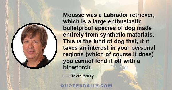 Mousse was a Labrador retriever, which is a large enthusiastic bulletproof species of dog made entirely from synthetic materials. This is the kind of dog that, if it takes an interest in your personal regions (which of