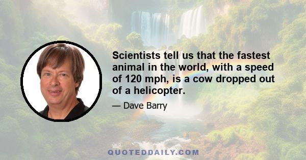 Scientists tell us that the fastest animal in the world, with a speed of 120 mph, is a cow dropped out of a helicopter.