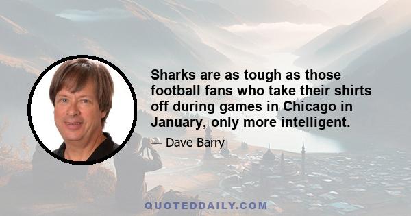 Sharks are as tough as those football fans who take their shirts off during games in Chicago in January, only more intelligent.