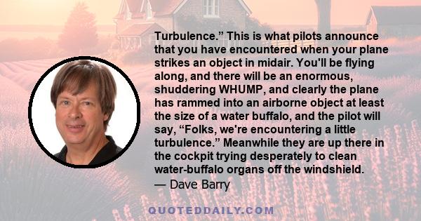 Turbulence.” This is what pilots announce that you have encountered when your plane strikes an object in midair. You'll be flying along, and there will be an enormous, shuddering WHUMP, and clearly the plane has rammed