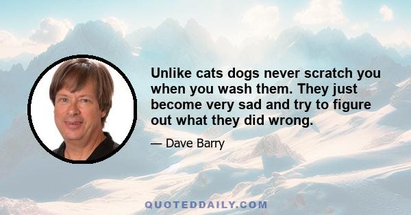 Unlike cats dogs never scratch you when you wash them. They just become very sad and try to figure out what they did wrong.