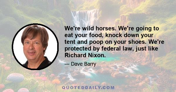 We're wild horses. We're going to eat your food, knock down your tent and poop on your shoes. We're protected by federal law, just like Richard Nixon.