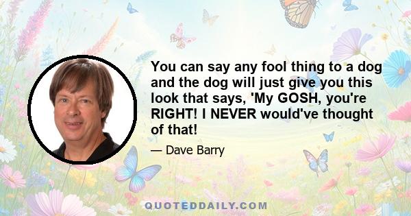You can say any fool thing to a dog and the dog will just give you this look that says, 'My GOSH, you're RIGHT! I NEVER would've thought of that!
