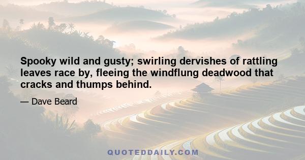 Spooky wild and gusty; swirling dervishes of rattling leaves race by, fleeing the windflung deadwood that cracks and thumps behind.