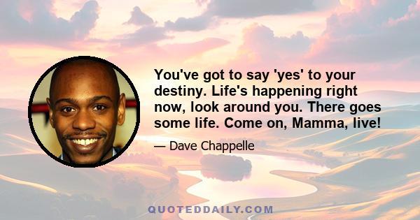 You've got to say 'yes' to your destiny. Life's happening right now, look around you. There goes some life. Come on, Mamma, live!