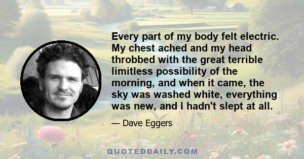 Every part of my body felt electric. My chest ached and my head throbbed with the great terrible limitless possibility of the morning, and when it came, the sky was washed white, everything was new, and I hadn't slept