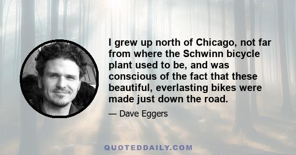 I grew up north of Chicago, not far from where the Schwinn bicycle plant used to be, and was conscious of the fact that these beautiful, everlasting bikes were made just down the road.