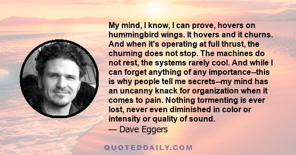 My mind, I know, I can prove, hovers on hummingbird wings. It hovers and it churns. And when it's operating at full thrust, the churning does not stop. The machines do not rest, the systems rarely cool. And while I can