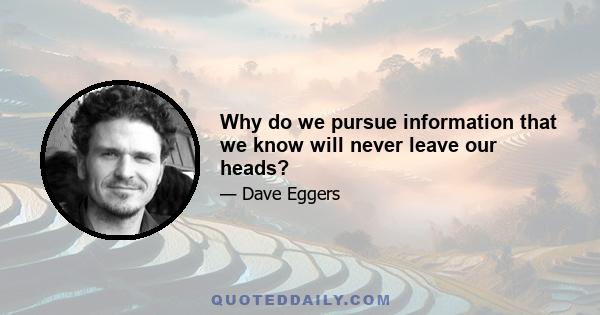 Why do we pursue information that we know will never leave our heads?