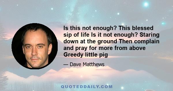 Is this not enough? This blessed sip of life Is it not enough? Staring down at the ground Then complain and pray for more from above Greedy little pig