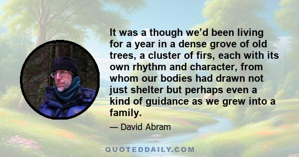 It was a though we’d been living for a year in a dense grove of old trees, a cluster of firs, each with its own rhythm and character, from whom our bodies had drawn not just shelter but perhaps even a kind of guidance