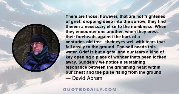 There are those, however, that are not frightened of grief: dropping deep into the sorrow, they find therein a necessary elixir to the numbness. When they encounter one another, when they press their foreheads against