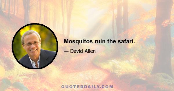 Mosquitos ruin the safari.