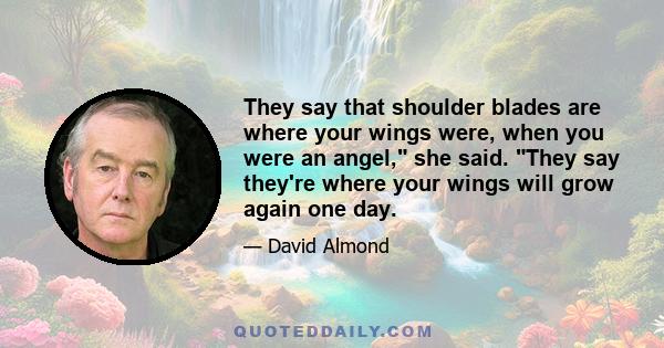 They say that shoulder blades are where your wings were, when you were an angel, she said. They say they're where your wings will grow again one day.