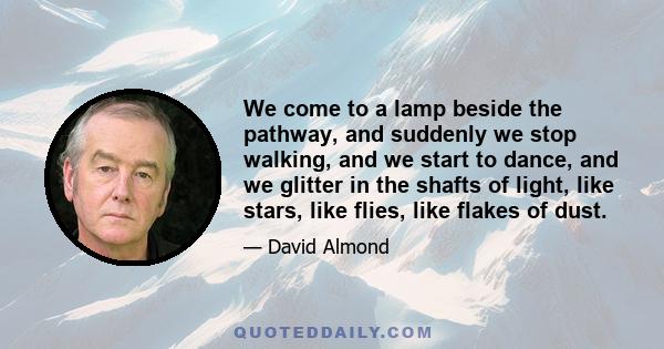 We come to a lamp beside the pathway, and suddenly we stop walking, and we start to dance, and we glitter in the shafts of light, like stars, like flies, like flakes of dust.