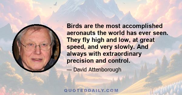 Birds are the most accomplished aeronauts the world has ever seen. They fly high and low, at great speed, and very slowly. And always with extraordinary precision and control.