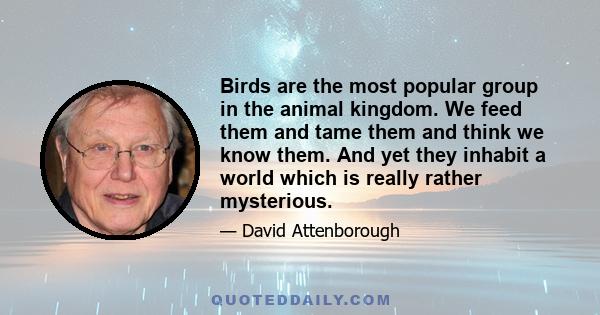 Birds are the most popular group in the animal kingdom. We feed them and tame them and think we know them. And yet they inhabit a world which is really rather mysterious.