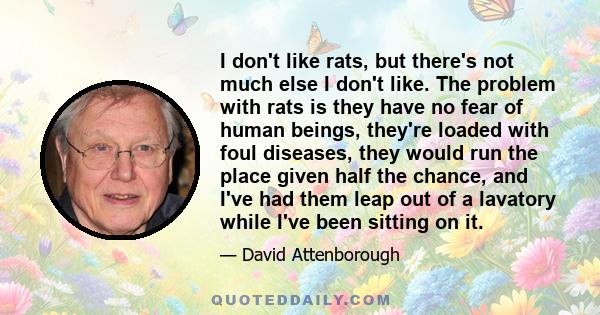 I don't like rats, but there's not much else I don't like. The problem with rats is they have no fear of human beings, they're loaded with foul diseases, they would run the place given half the chance, and I've had them 