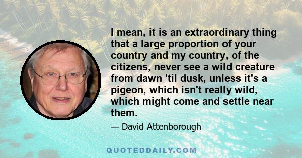 I mean, it is an extraordinary thing that a large proportion of your country and my country, of the citizens, never see a wild creature from dawn 'til dusk, unless it's a pigeon, which isn't really wild, which might