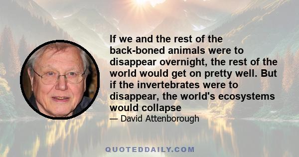 If we and the rest of the back-boned animals were to disappear overnight, the rest of the world would get on pretty well. But if the invertebrates were to disappear, the world's ecosystems would collapse